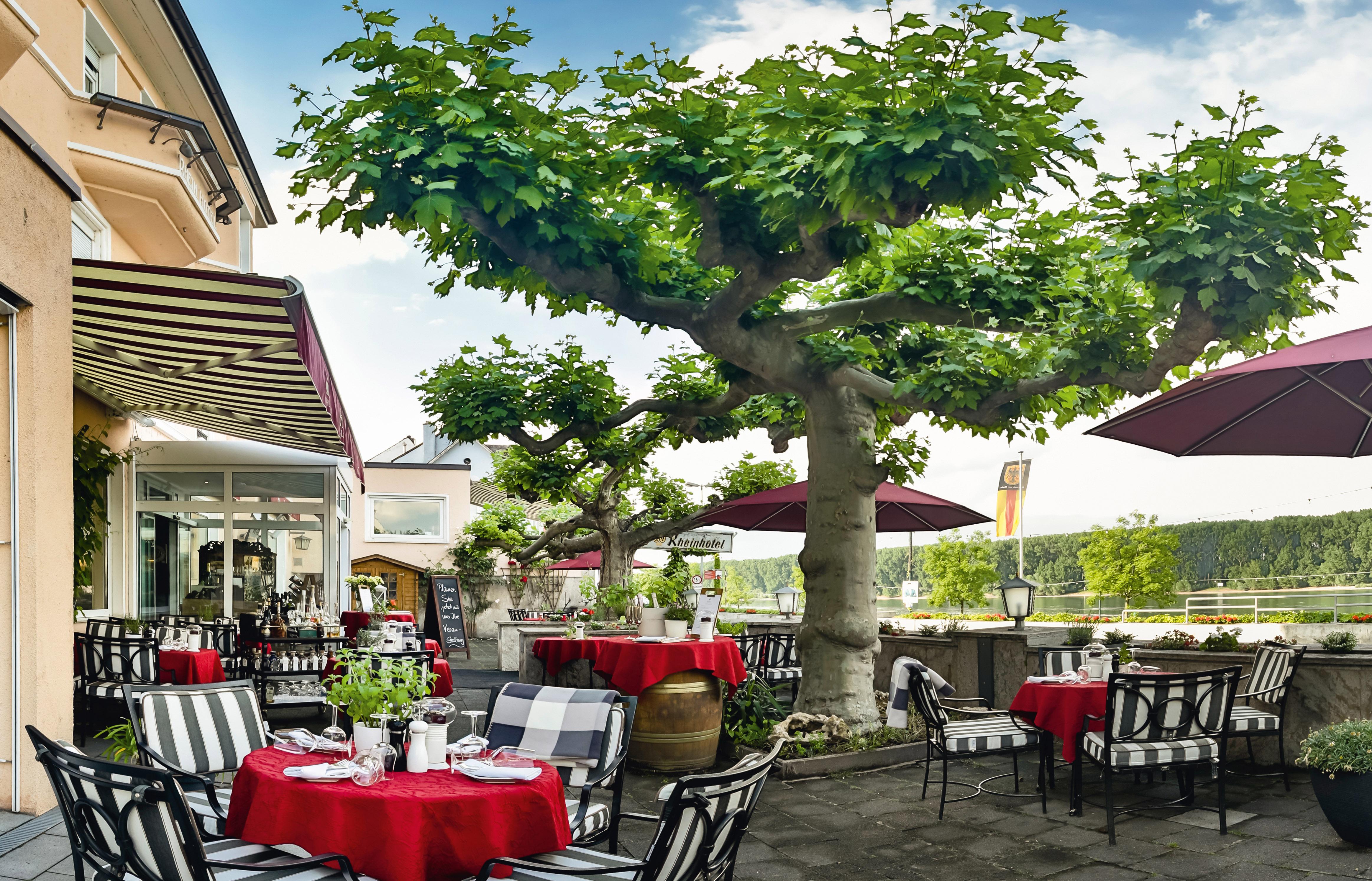 Rhein-Hotel Nierstein Zewnętrze zdjęcie