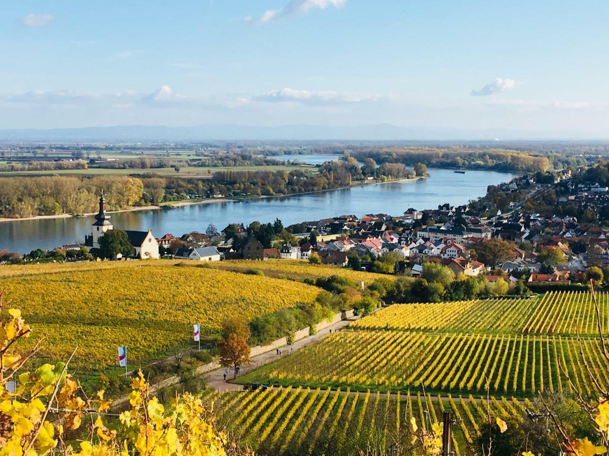 Rhein-Hotel Nierstein Zewnętrze zdjęcie
